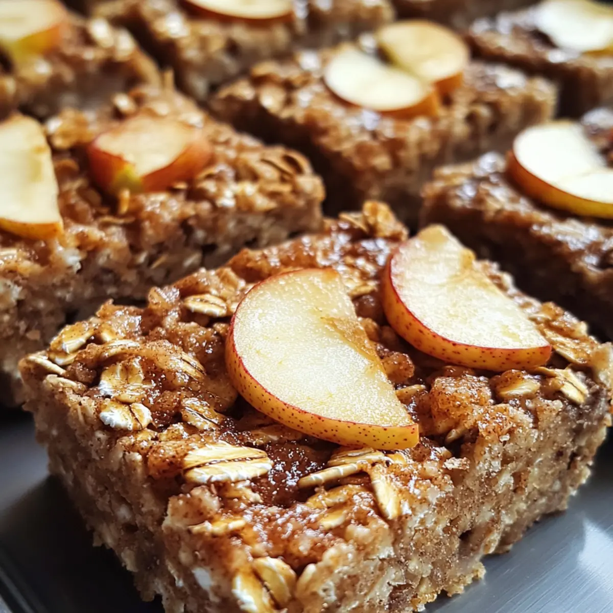 Apple Cinnamon Baked Oatmeal Squares